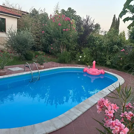 Sunny Boutique Villa