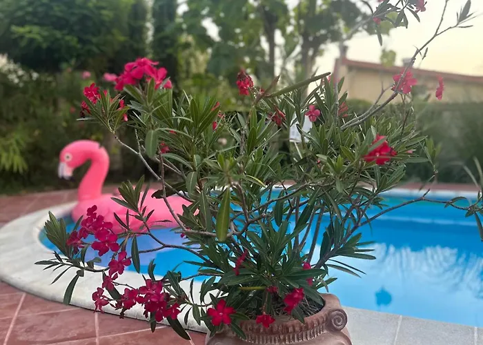 Sunny Boutique 瓦爾納