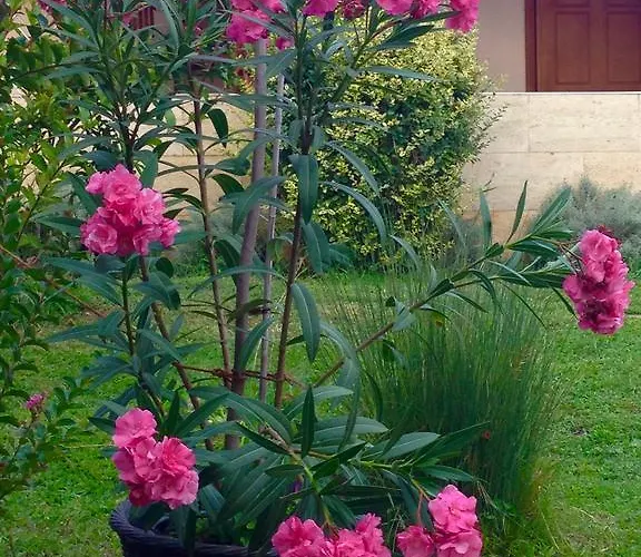 别墅 Sunny Boutique