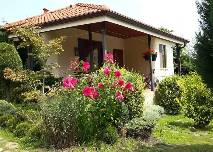 Sunny Boutique 瓦爾納