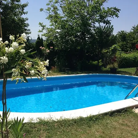 Summer Boutique Villa *