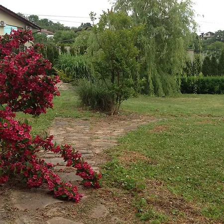 Villa Sunny Boutique