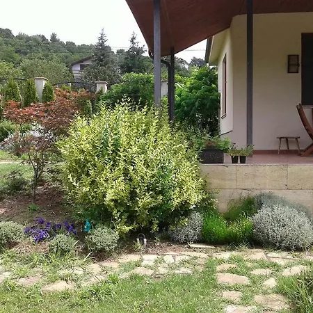 Villa Summer Boutique