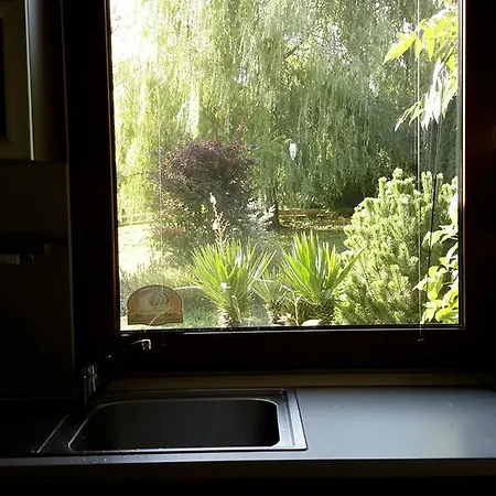 Sunny Boutique Warna