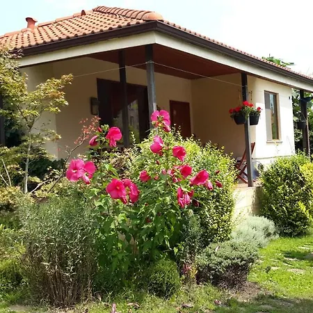 Sunny Boutique Warna